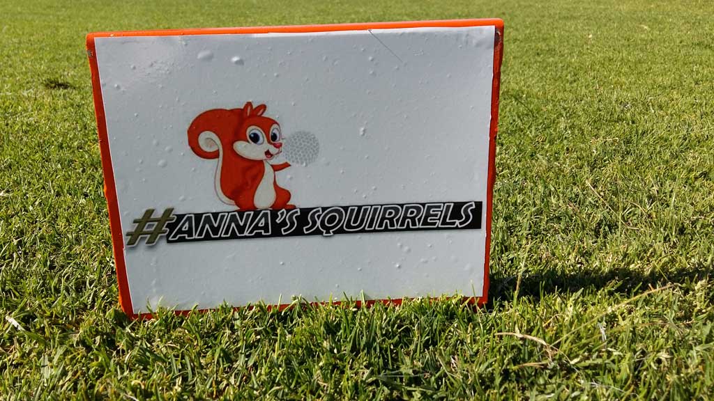 Annas Golf Squirrels